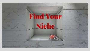 find your niche