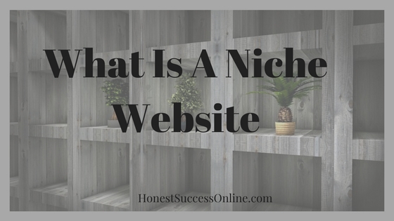 what-is-a-niche-website-honest-success-online