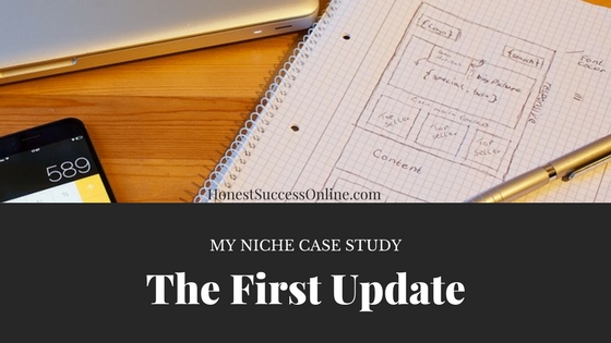 My Niche Case Study - The First Update