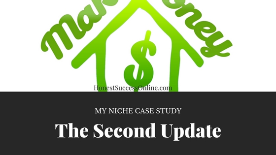 My Niche Case Study - The Second Update