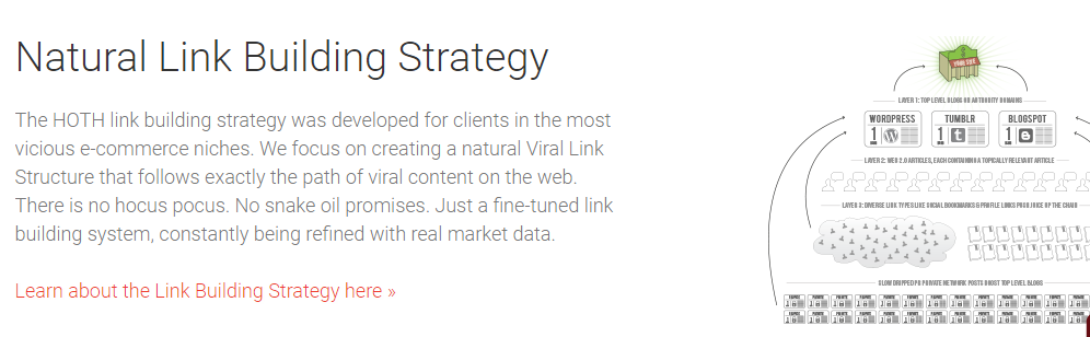 natural link building strategy