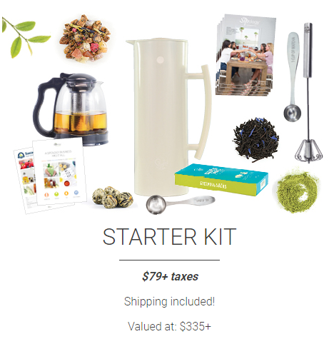 steeped tea starter kit