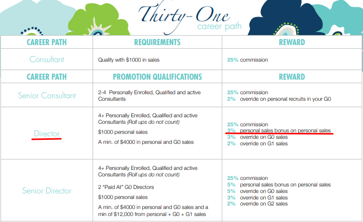 thirty one compensation plan